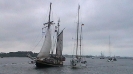 Hanse Sail Rostock 2011_16
