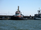 Schlachtenbummler beim AO Tag in Wilhelmshaven Mai 2013 _33